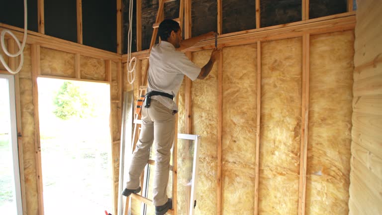 Best Weatherproofing Services  in Ddleville, MI