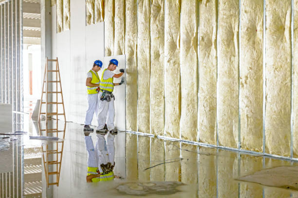 Best Crawl Space Insulation  in Ddleville, MI